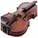 Conrad Goetz Bohemia-Heritage 108 Violin, Instrument Only