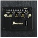 Ibanez TCY621 Talman, Black Out- controls