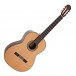 Takamine H8SS Hirade Concert Classical Guitar, Natural