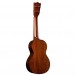 Martin Centennial 1 Concert Ukulele - back 