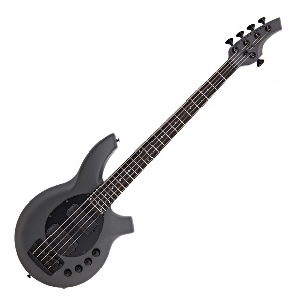 Music Man Bongo HH 5 String, Titan Gray