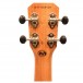 Flight NUT310 Tenor Ukulele, Sapele - Headstock Back