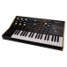 Taiga Keyboard 37-Note Keyboard Synthesizer - Angled