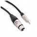 XLR (F) - 3.5mm (M) Minijack Cable by Studiospares, 2.5m