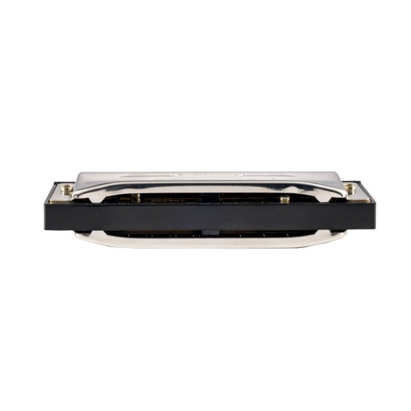 Hohner Special 20 Progressive Harmonica, D Country