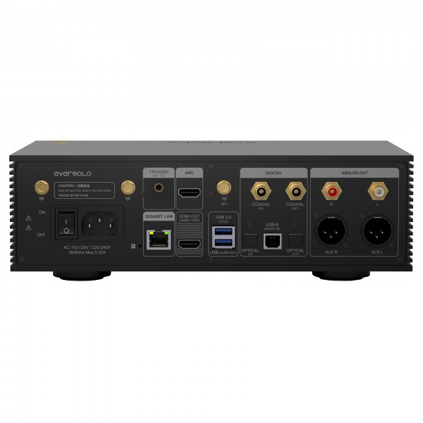 Eversolo DMP-A6 Gen 2 Streaming Music Player - rear sq 