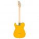 Fender Standard Telecaster, Black Pickguard, Butterscotch Blonde back 