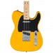 Fender Standard Telecaster, Black Pickguard, Butterscotch Blonde body 