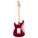 Fender Standard Stratocaster HSS, Candy Cola - back 