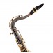 Trevor James EVO Tenor Saxophone, Black and Gold