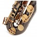 Trevor James EVO Tenor Saxophone, Black and Gold