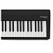 Roland FP-30X Digital Piano, Black