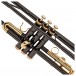 Roy Benson TR101K Bb Trumpet, Black and Gold