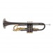 Roy Benson TR101K Bb Trumpet, Black and Gold