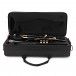 Roy Benson TR101K Bb Trumpet, Black and Gold