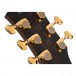 Cort modern electric tuning pegs 