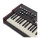 Viscount Legend ONE 61 Stage Keyboard- Keys