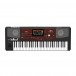 Korg Pa700 Professional Arranger, Oriental