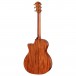 Taylor Legacy 514ce LTD Electro Acoustic, Natural Gloss