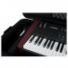 Gator GTSA-KEY88D ATA TSA Keyboard Case, Interior Close Up