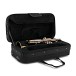 Bach TR501 Bb Trumpet, Lacquer case open