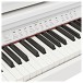 GDP-100 Digital Grand Piano by Gear4music, Gloss White