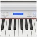 GDP-100 Digital Grand Piano by Gear4music, Gloss White