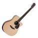 Furch Guitars Blue Performance Series DC-EW EAS-VTC, Natural