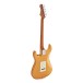 Jet Guitars JS-300 Roasted Maple, Gold