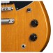 Gibson Theodore Standard, Antique Natural controls 