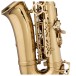 Levante by Stagg AS4105 Alto Saxophone, Brace