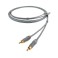 Chord Leyline 2RCA to 2RCA 1m