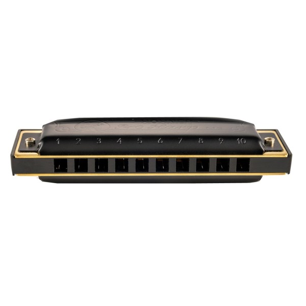 Hohner Pro Harp MS Harmonica, D