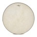 Gear4music Life Hand Drum 22 Inch, Synthetic Head