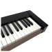 Casio PX S6000 Digital Piano, Black