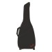 gig bag 