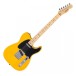 Fender Standard Telecaster  front