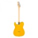 Fender Standard Telecaster back