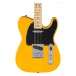 Fender Standard Telecaster  body 