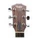 Taylor 214ce Electro Acoustic - Secondhand