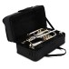 Cornet Silver plated with Gold plated parts by Gear4music