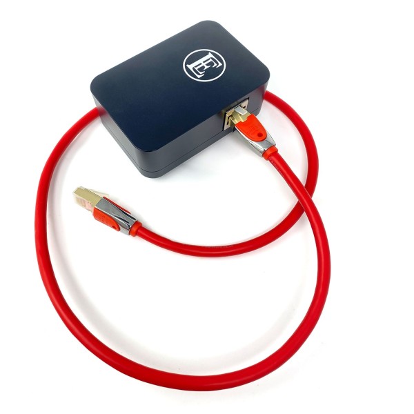 English Electric EE1 Plus, Black - red cable 