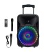 327923-FLASH1205-N-Gear-Karaoke-Speaker-with-Mic-and-Accessories