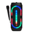 N-Gear Let's Go Party 24C Portable Karaoke Speaker