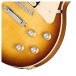 Gibson Les Paul Standard 60s Double Trouble, Vintage Tobacco Burst​ Gloss - knob