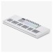 Novation Launchkey Mini 37 MK4 MIDI Keyboard Controller, White - Angled
