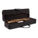 Elkhart 100SS Student Soprano Saxophone