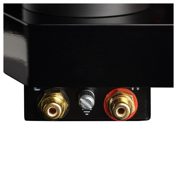 Pro-Ject AC/DC Turntable - terminals 