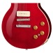 Gibson Warren Haynes Les Paul Standard - pots