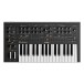 Moog Messenger Monophonic Analog Synthesizer - Top